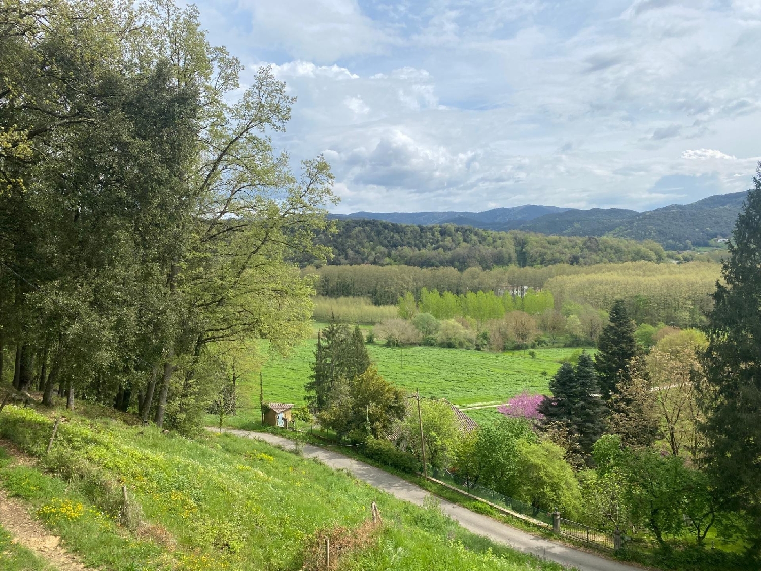  en venta casa Sant Feliu De Pallerols Garrotxa 4