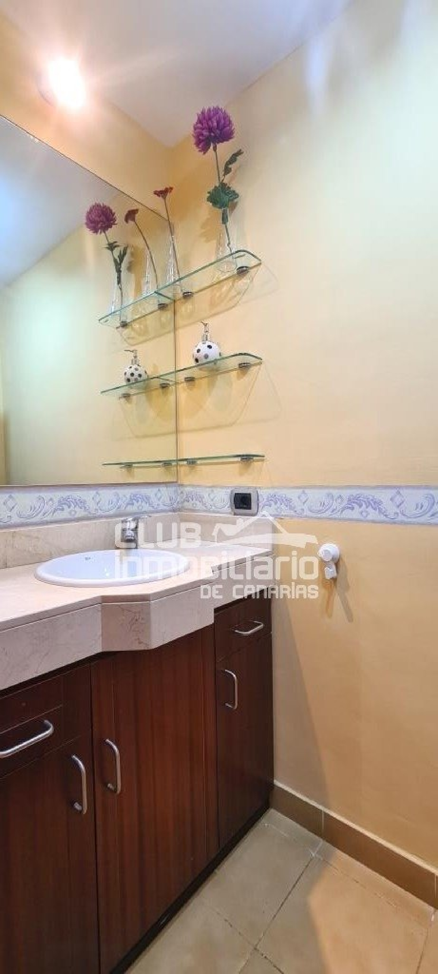  en venta casa Santa Úrsula Zona Norte 6