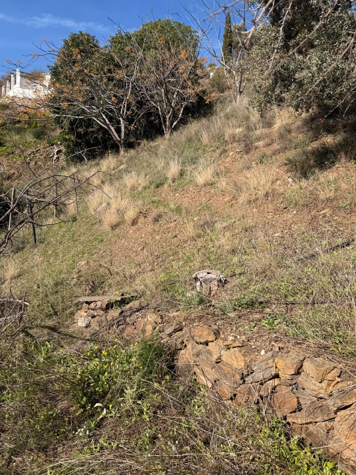  en venta casa Sayalonga Axarquía 7