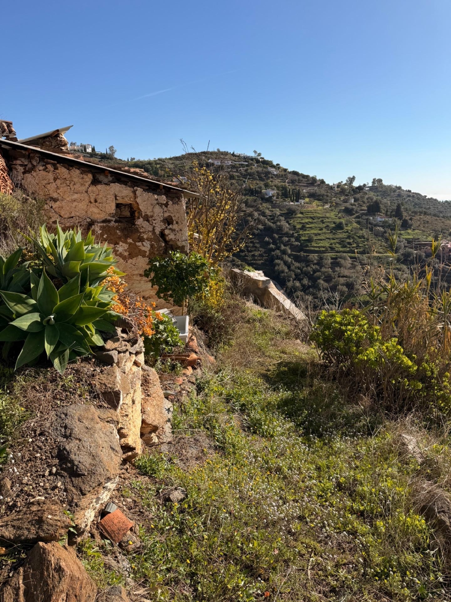  en venta casa Sayalonga Axarquía 6