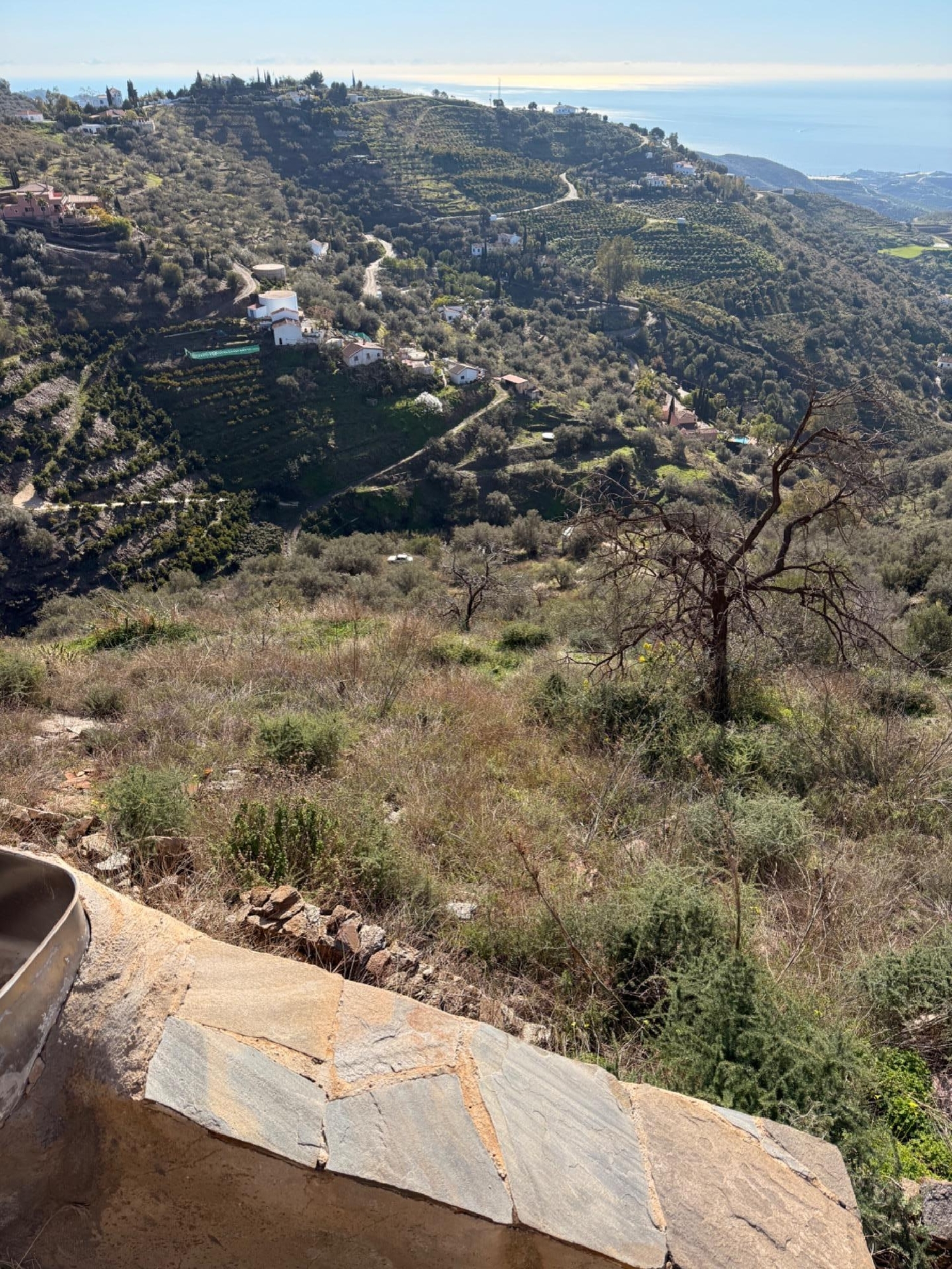  en venta casa Sayalonga Axarquía 5