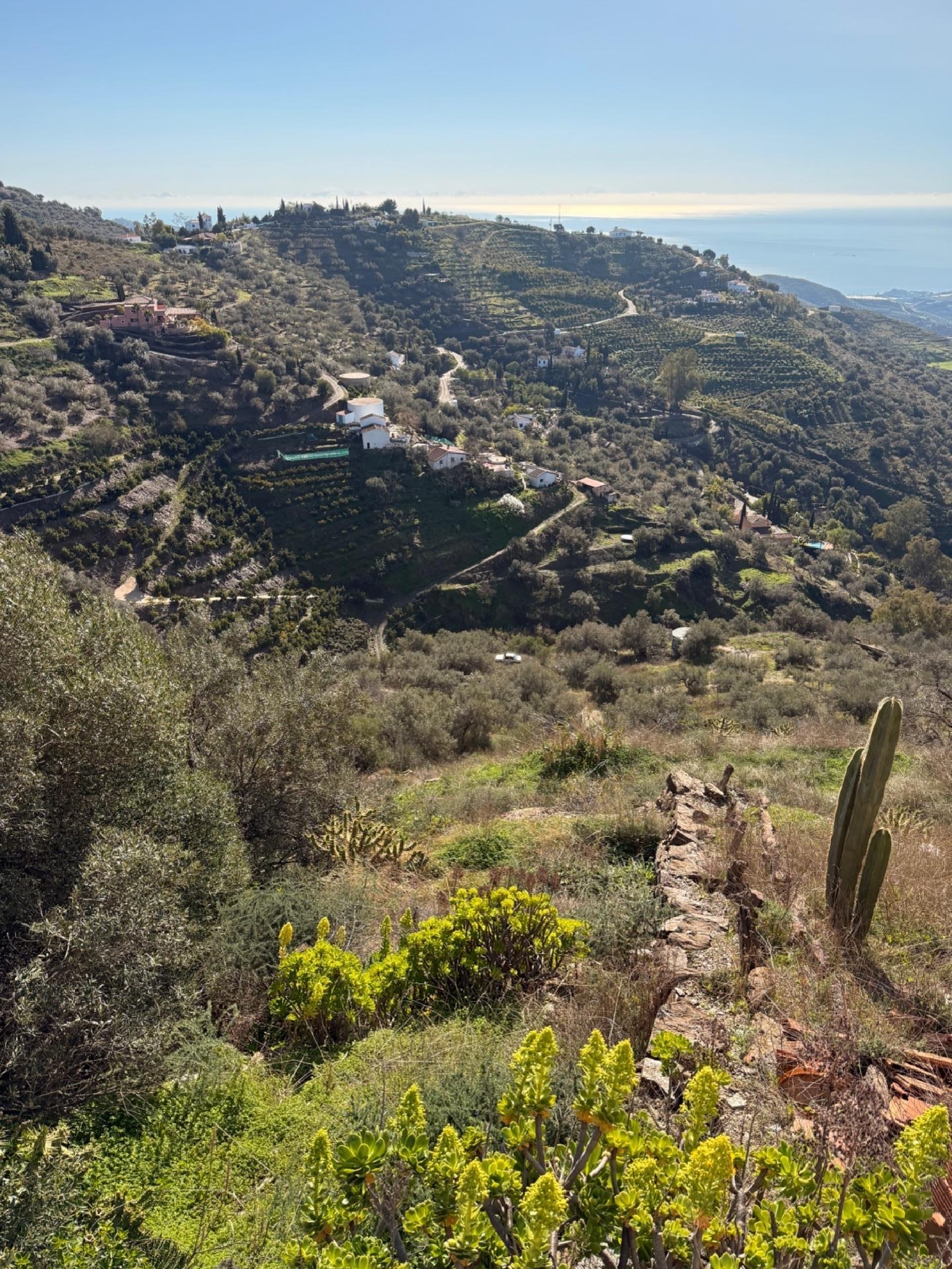  en venta casa Sayalonga Axarquía 2