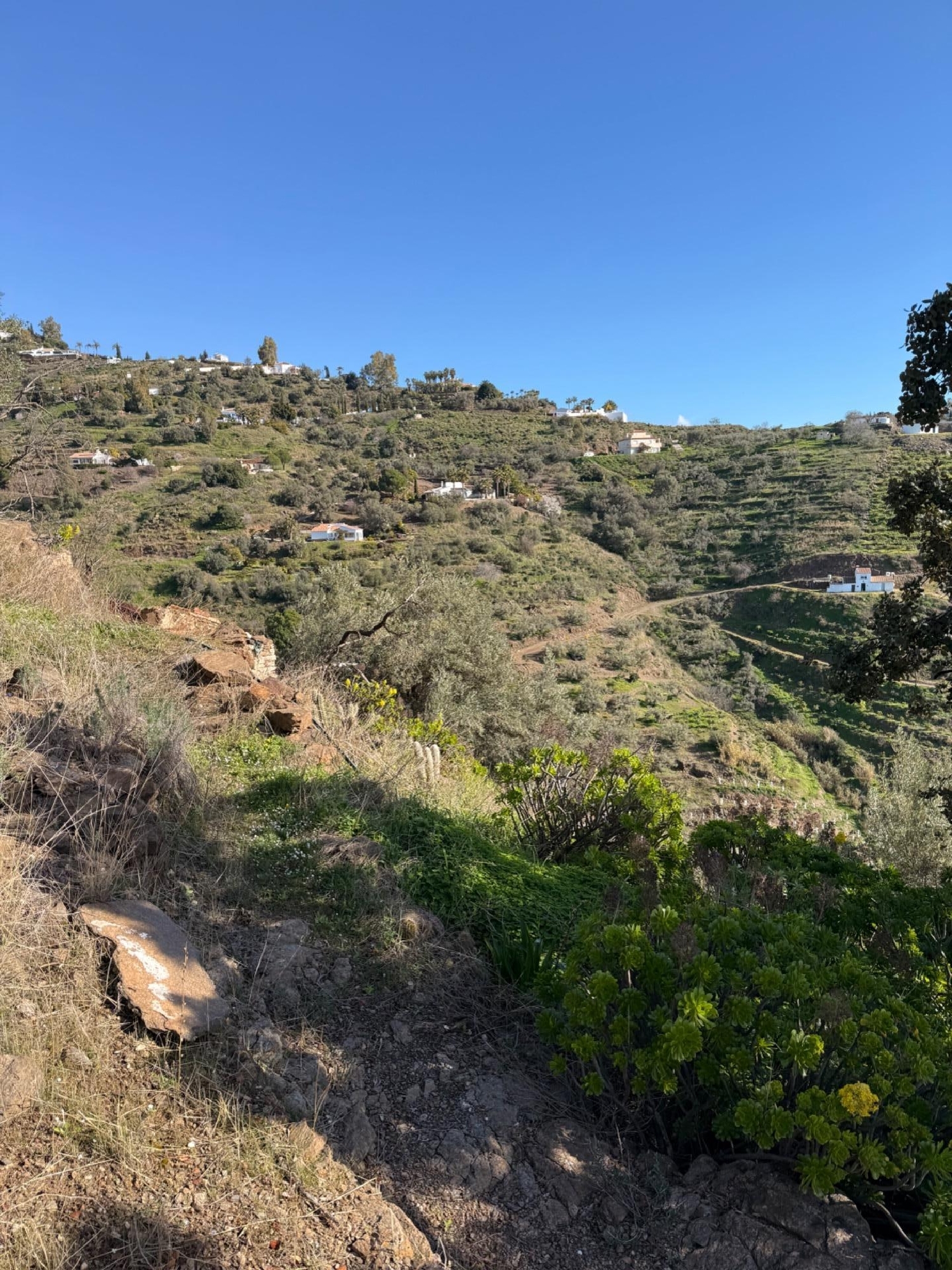  en venta casa Sayalonga Axarquía 8