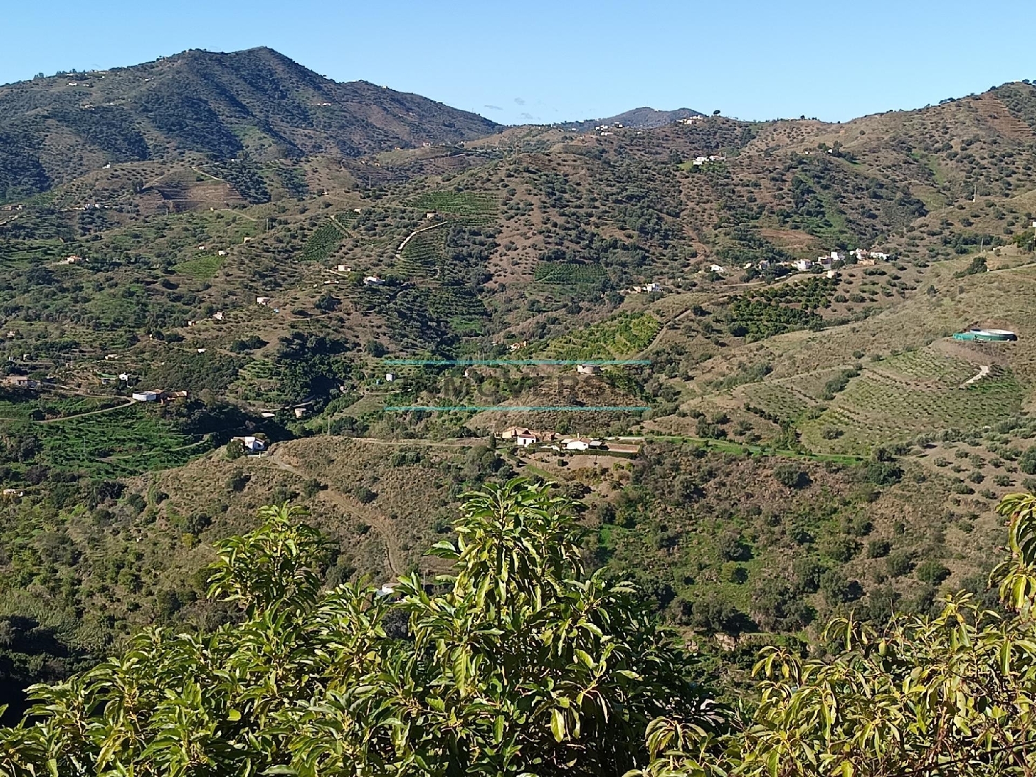  en venta casa Sayalonga Axarquía 3