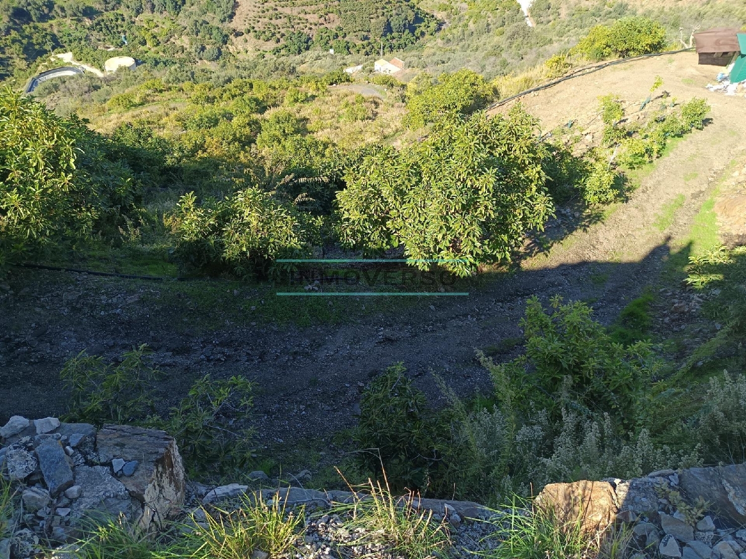  en venta casa Sayalonga Axarquía 6