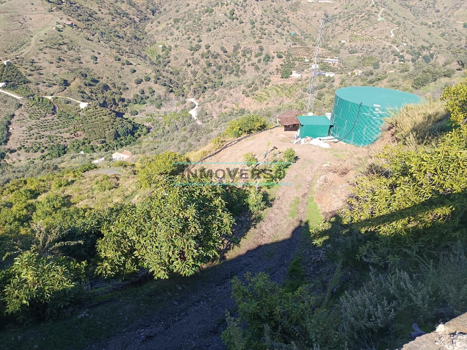  en venta casa Sayalonga Axarquía 8