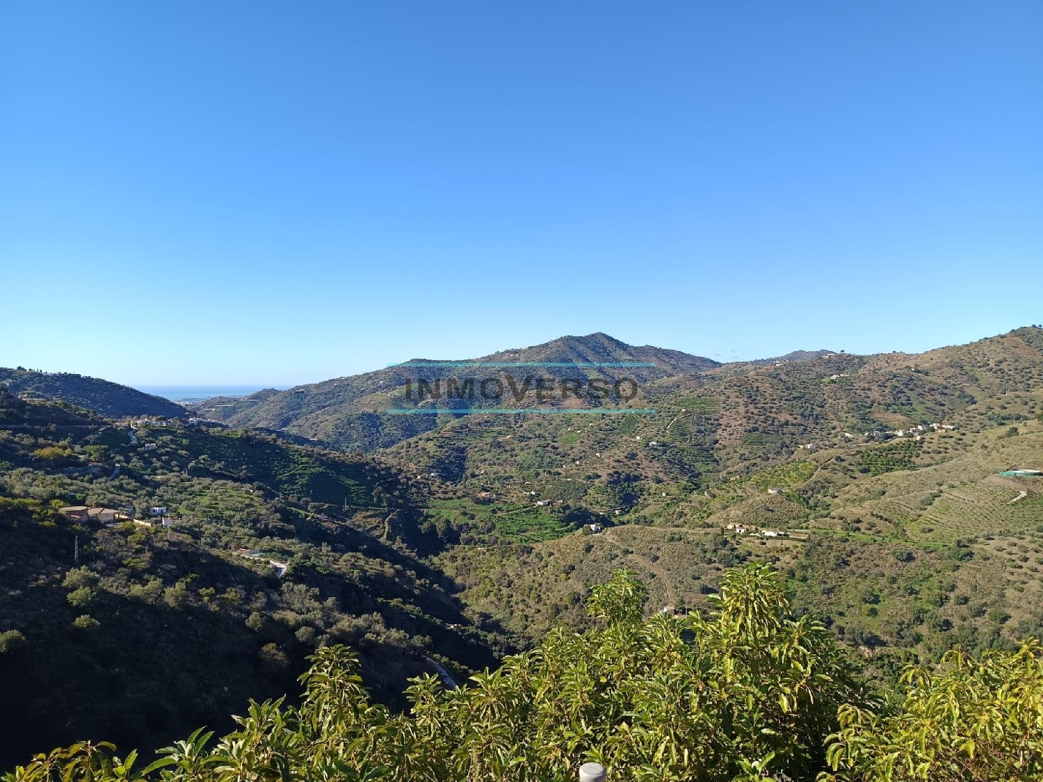  en venta casa Sayalonga Axarquía 2