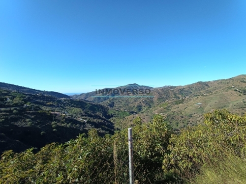 Sayalonga Axarquía casa foto 6325543