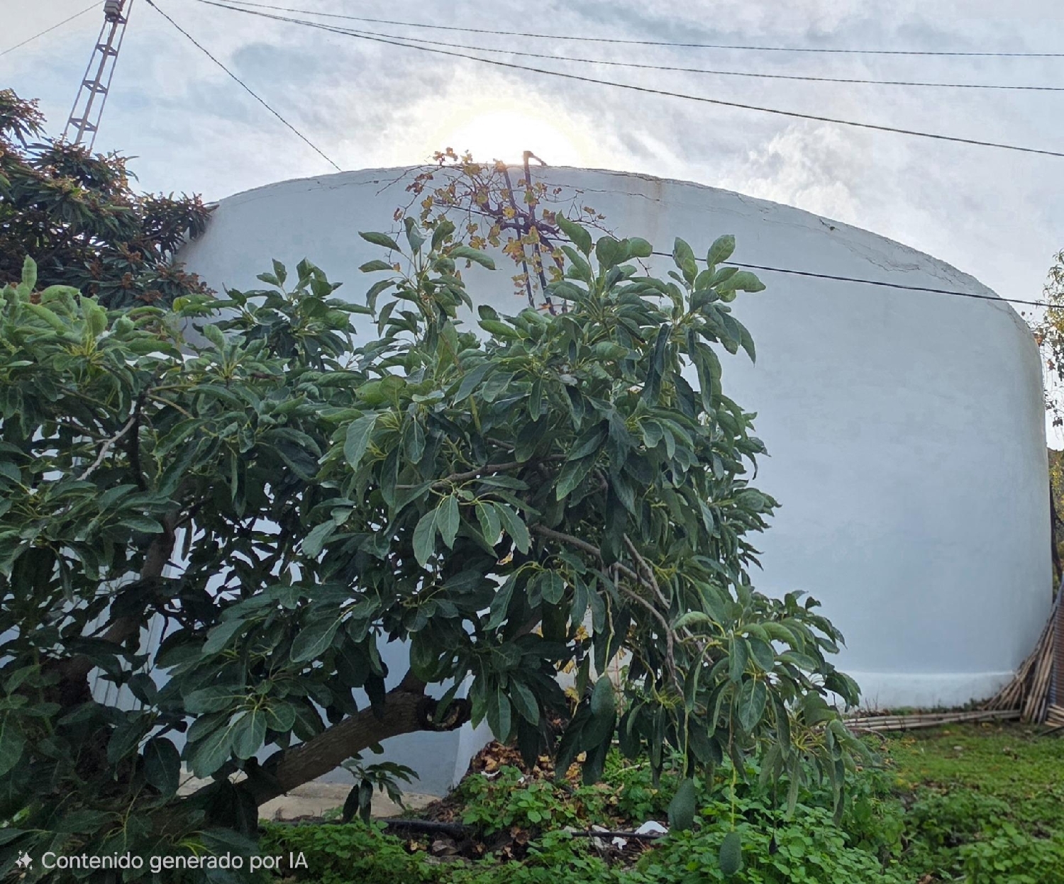  en venta casa Sayalonga Axarquía 3