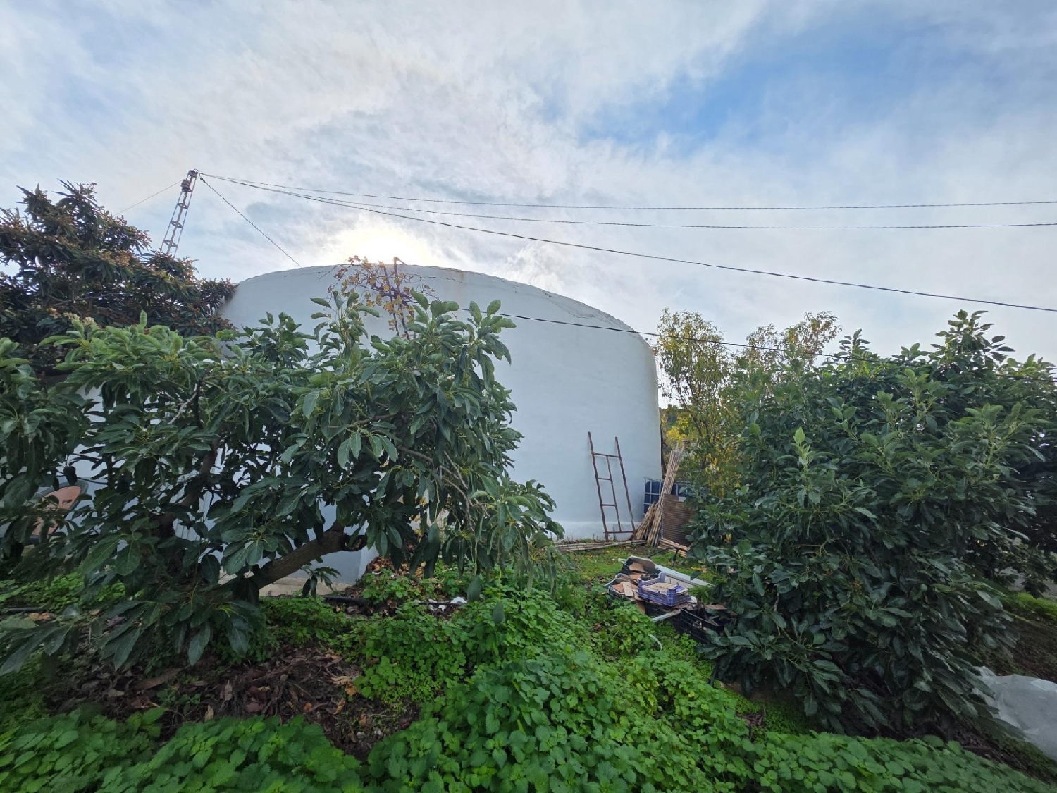  en venta casa Sayalonga Axarquía 7