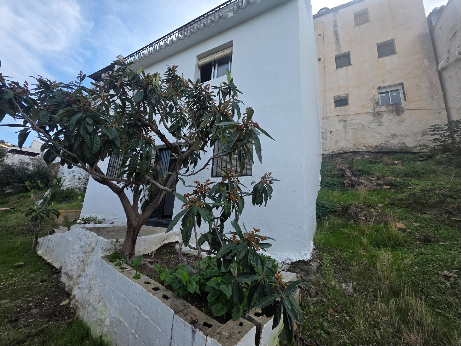  en venta casa Sayalonga Axarquía 4