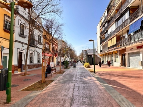 Sevilla La Nueva Sur house foto 6329942