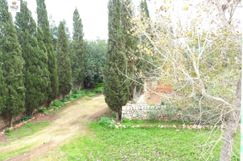 Sineu Pla (Es) casa foto 6339603