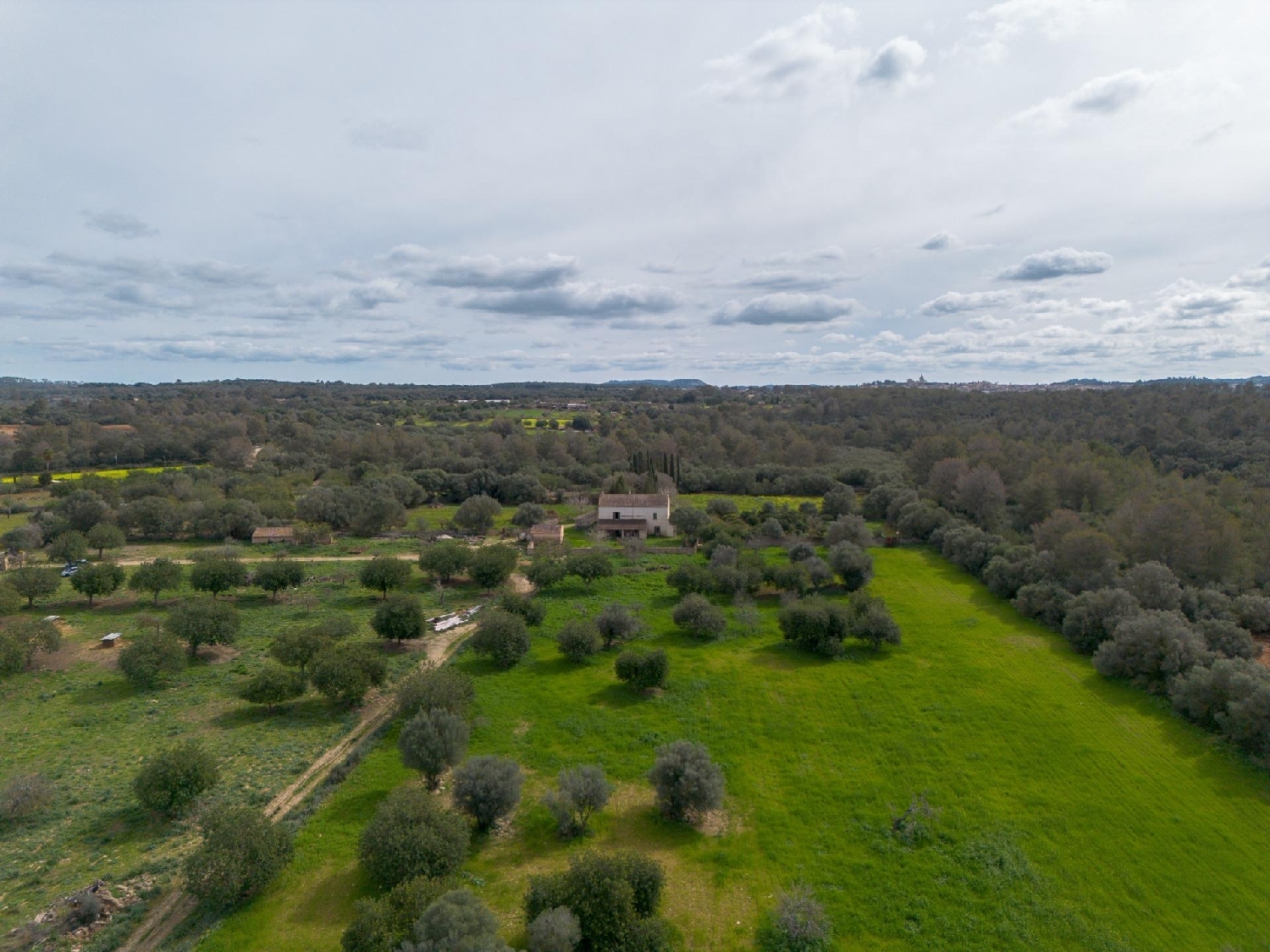 te koop huis Sineu Pla (Es) 6