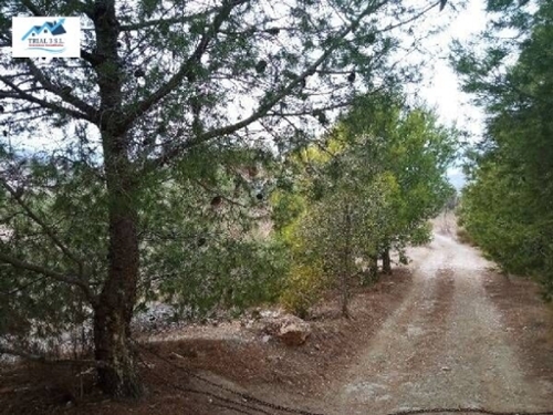 Tabernas Filabres-Tabernas casa foto 6341191