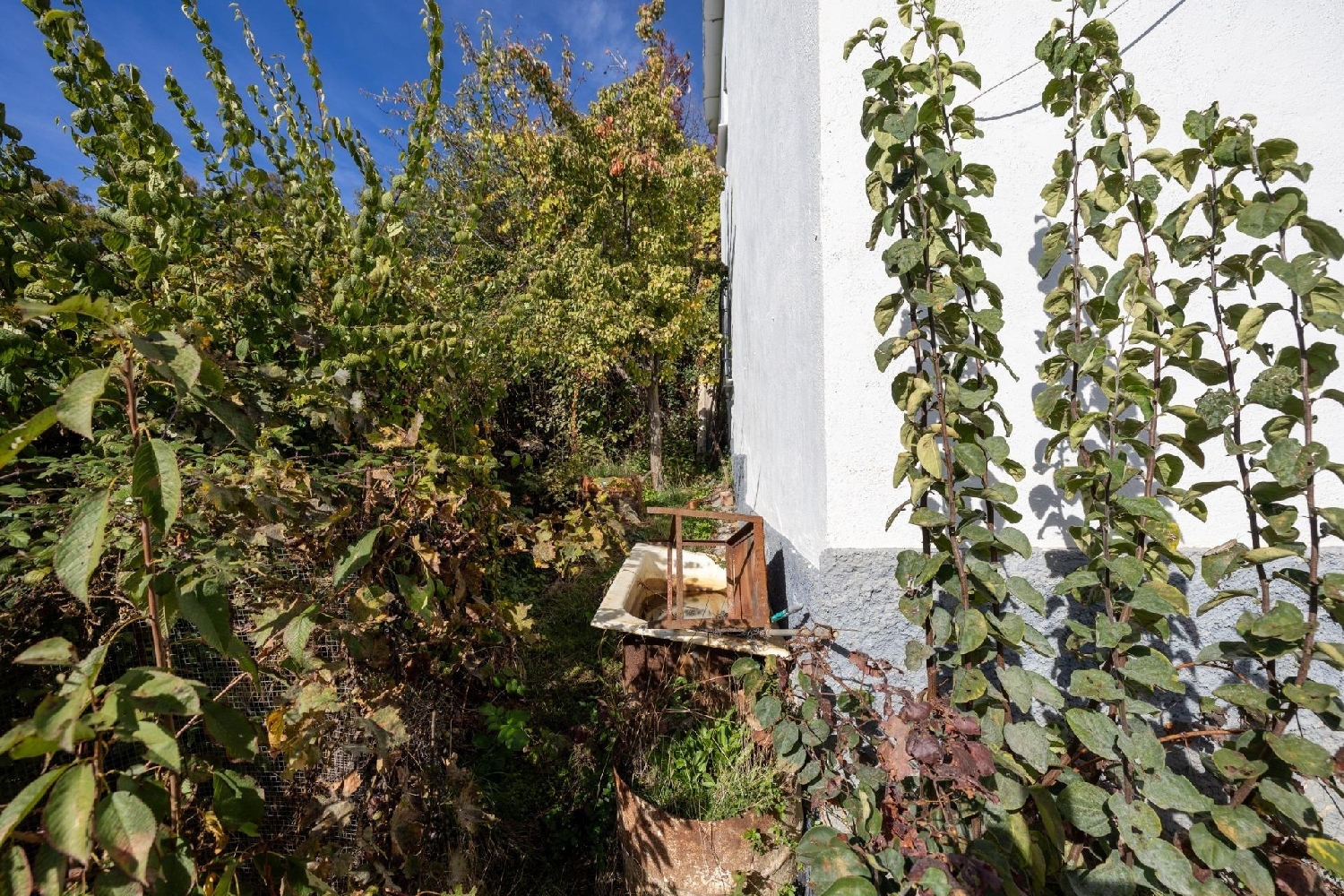  for sale house Tahal Filabres-Tabernas 7