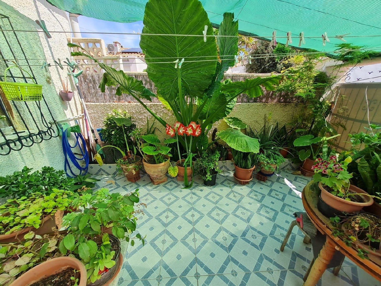  for sale house Torrevieja Baix Segura 3