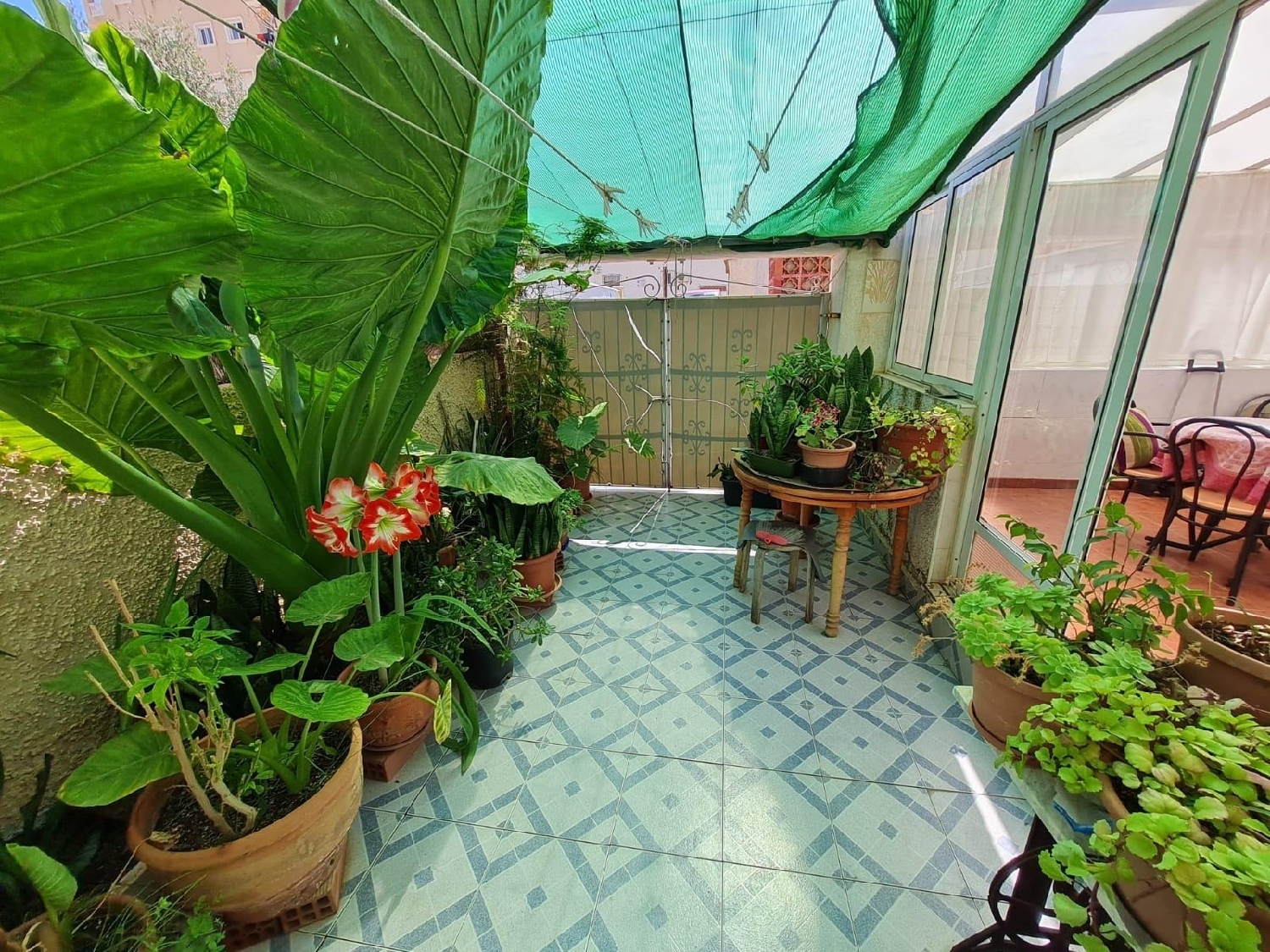  for sale house Torrevieja Baix Segura 2