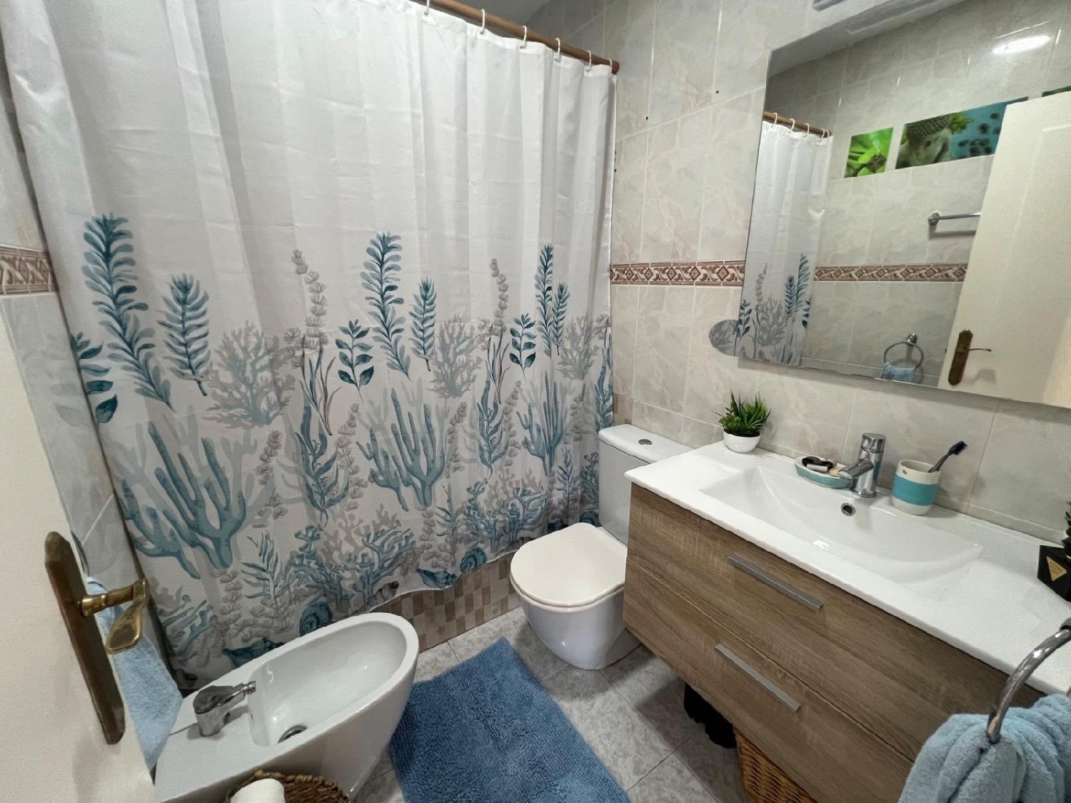  en venta casa Torrevieja Baix Segura 6