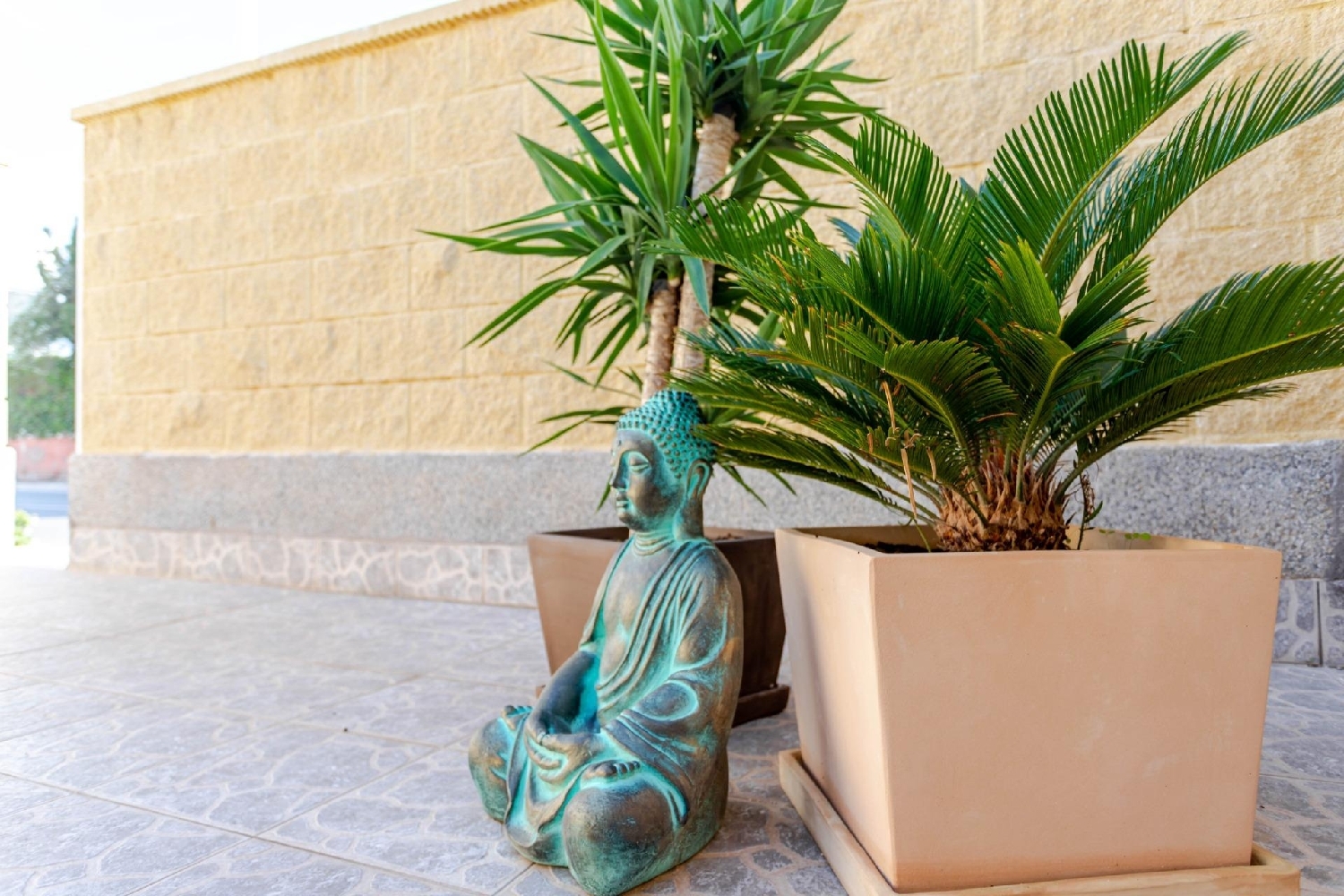  kaufen Haus Torrevieja Baix Segura 17