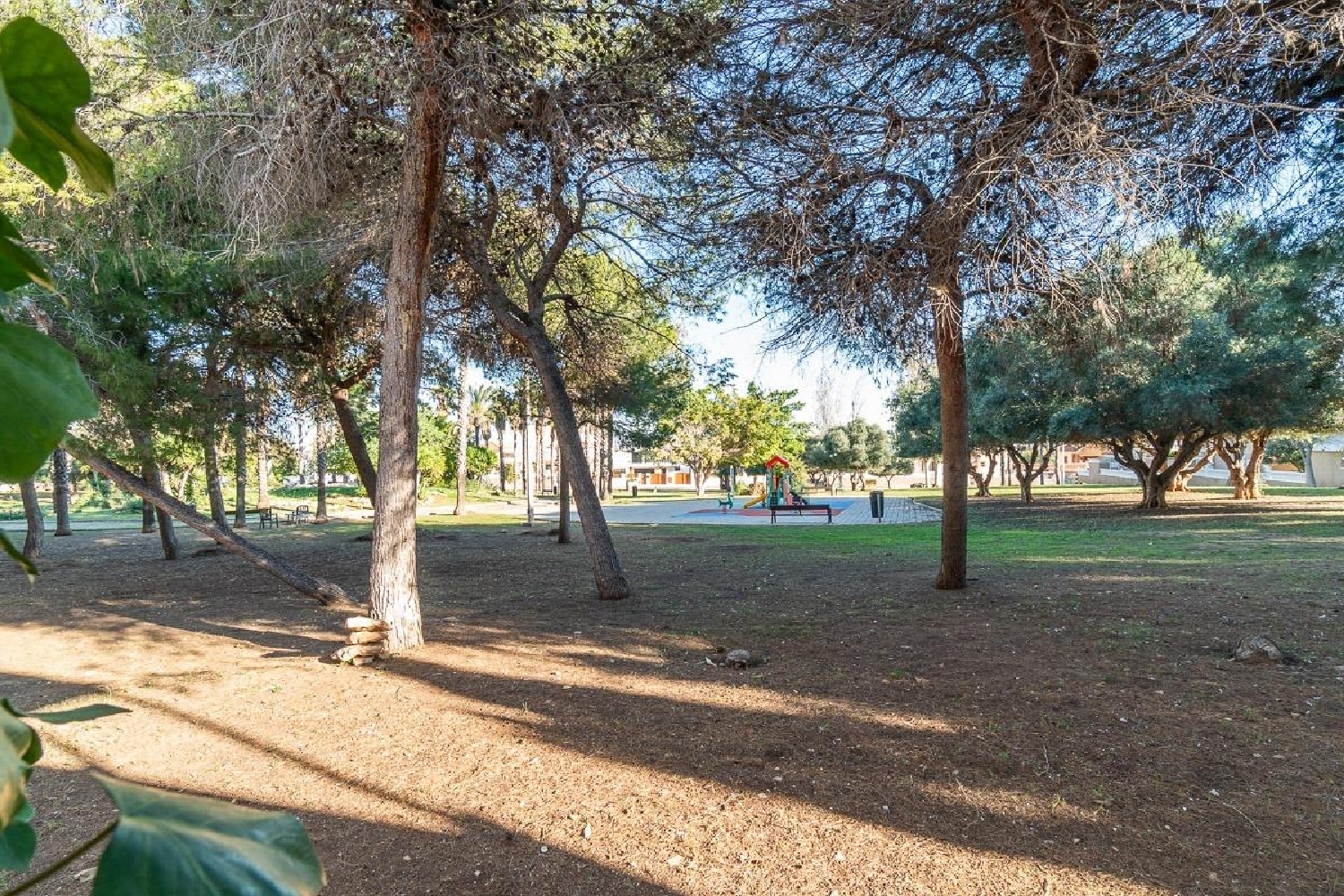  kaufen Haus Torrevieja Baix Segura 28