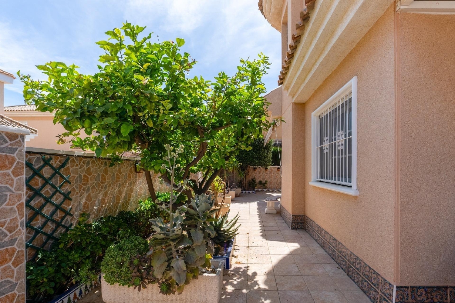  te koop huis Torrevieja Baix Segura 6