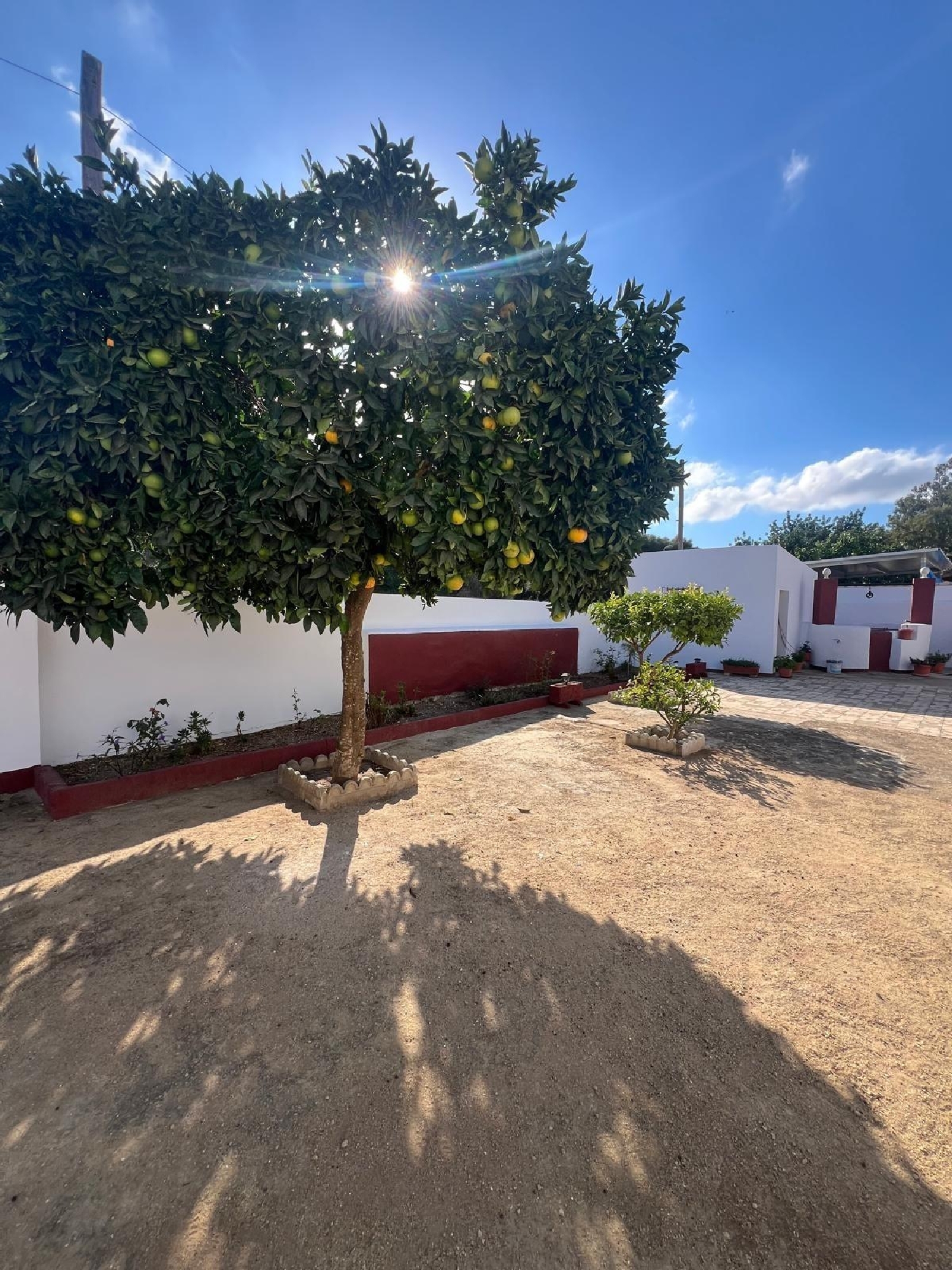  te koop huis Vejer De La Frontera Janda (La) 4
