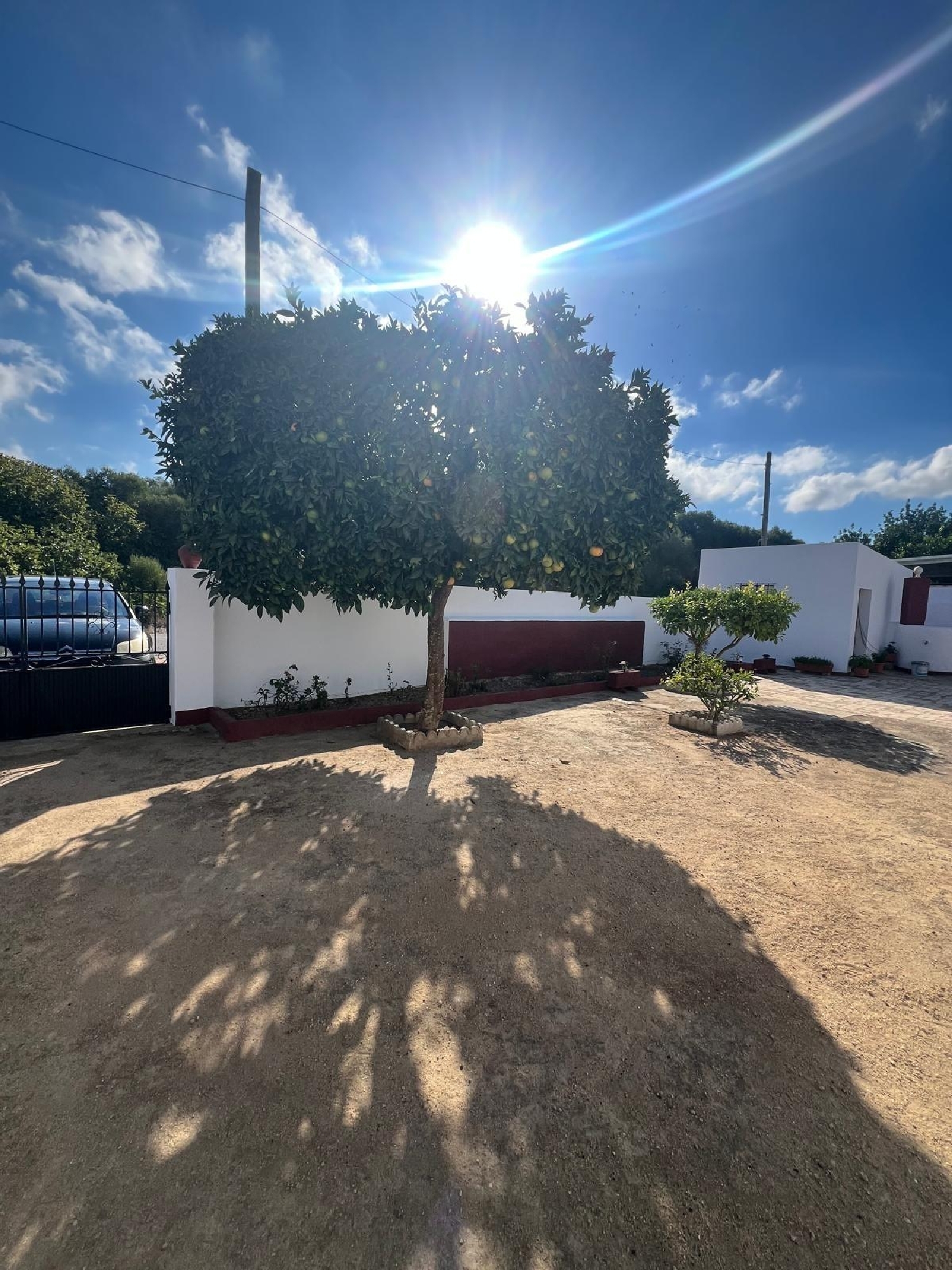  te koop huis Vejer De La Frontera Janda (La) 6