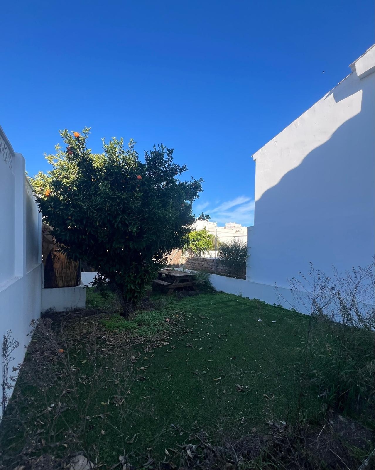 te koop huis Vejer De La Frontera Janda (La) 6