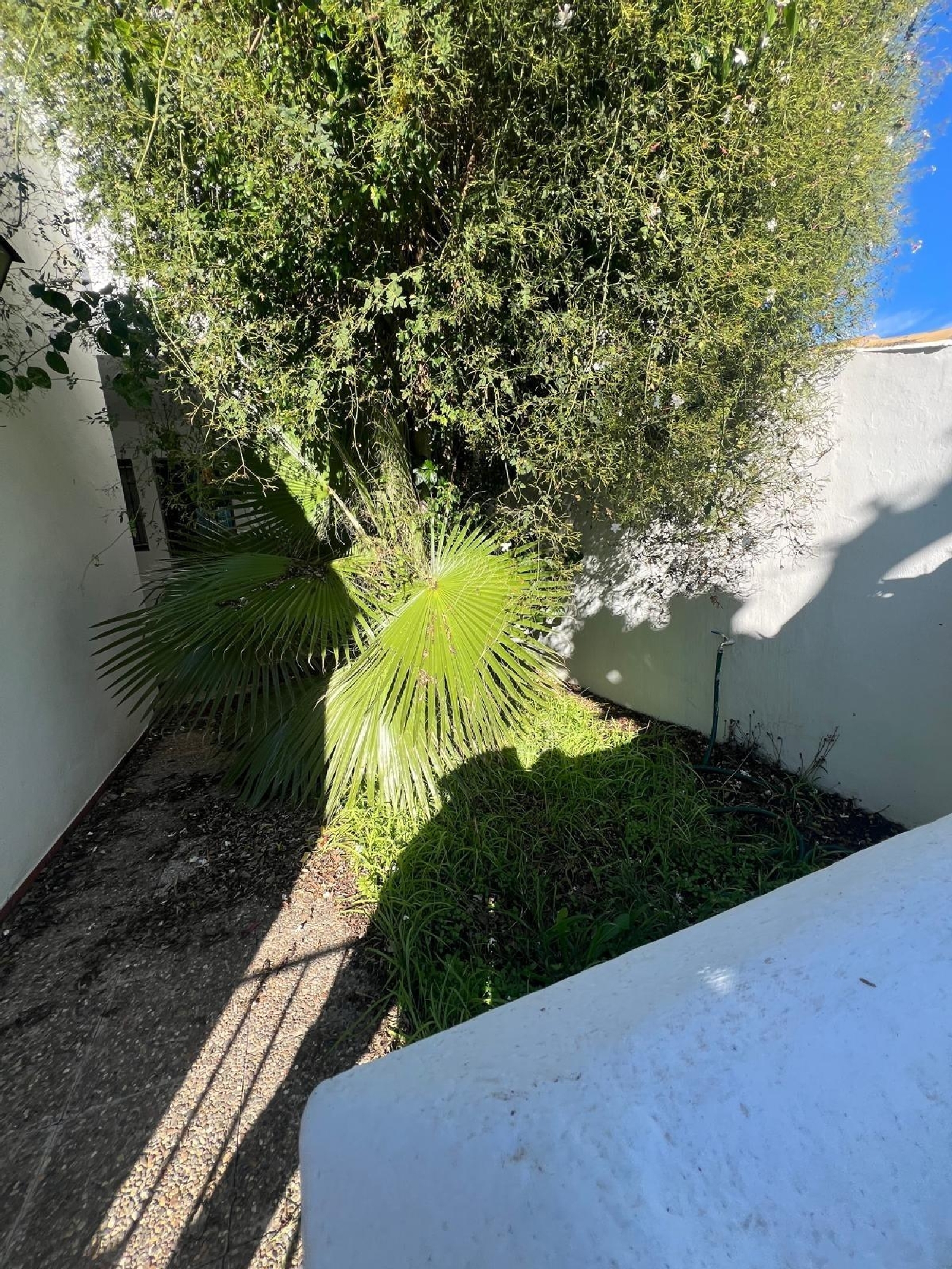 te koop huis Vejer De La Frontera Janda (La) 1