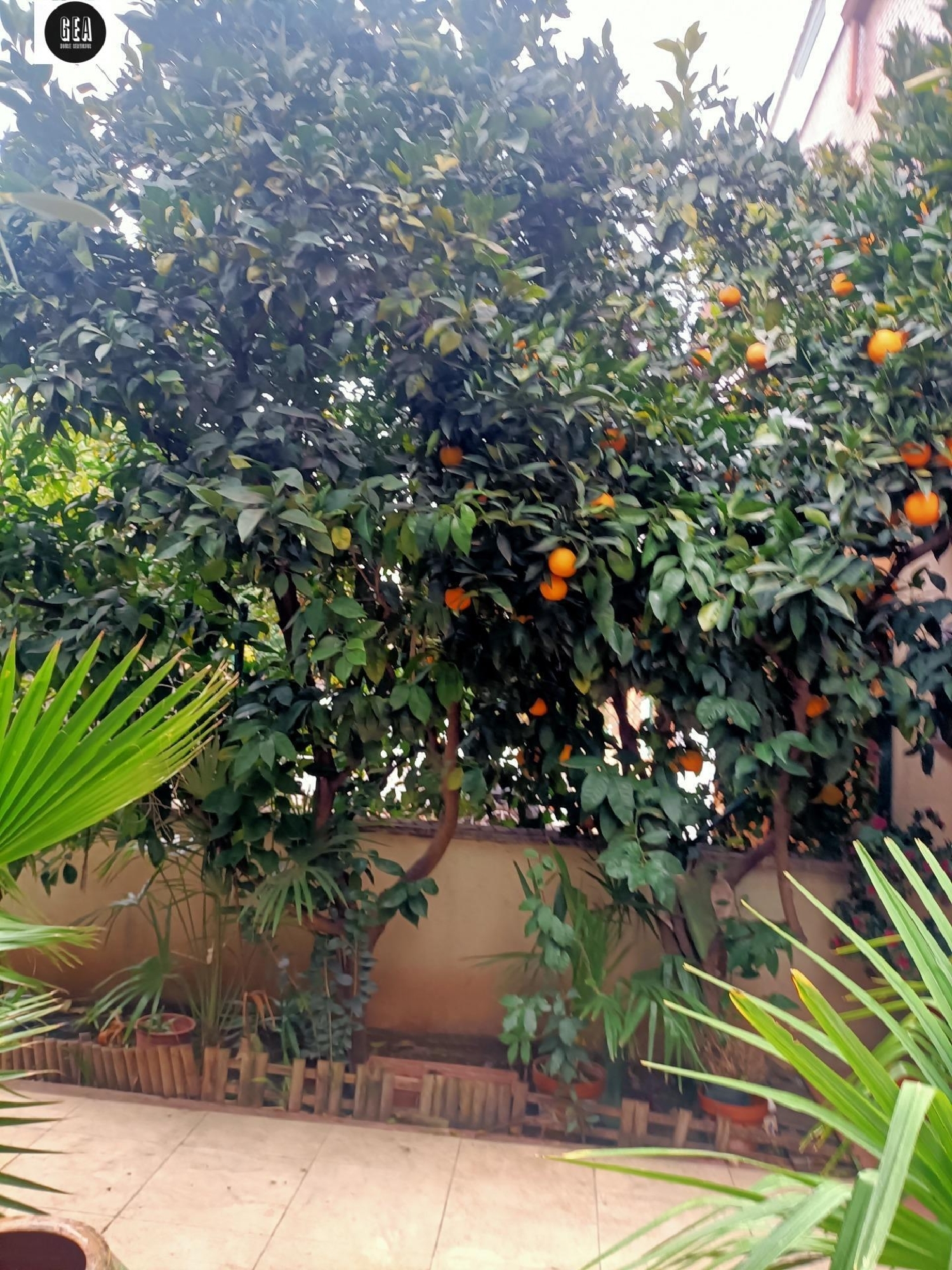  till salu hus Vilanova De Segrià Segrià 8