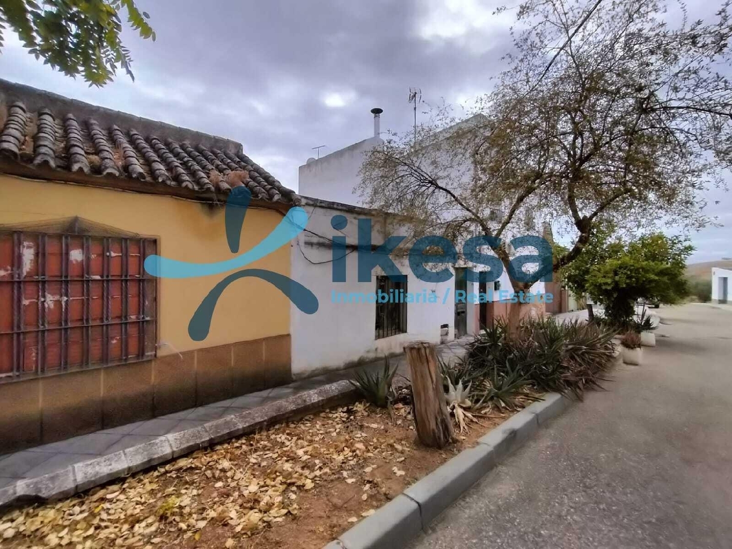  kaufen Haus Villafranca De Córdoba Alto Guadalquivir 2