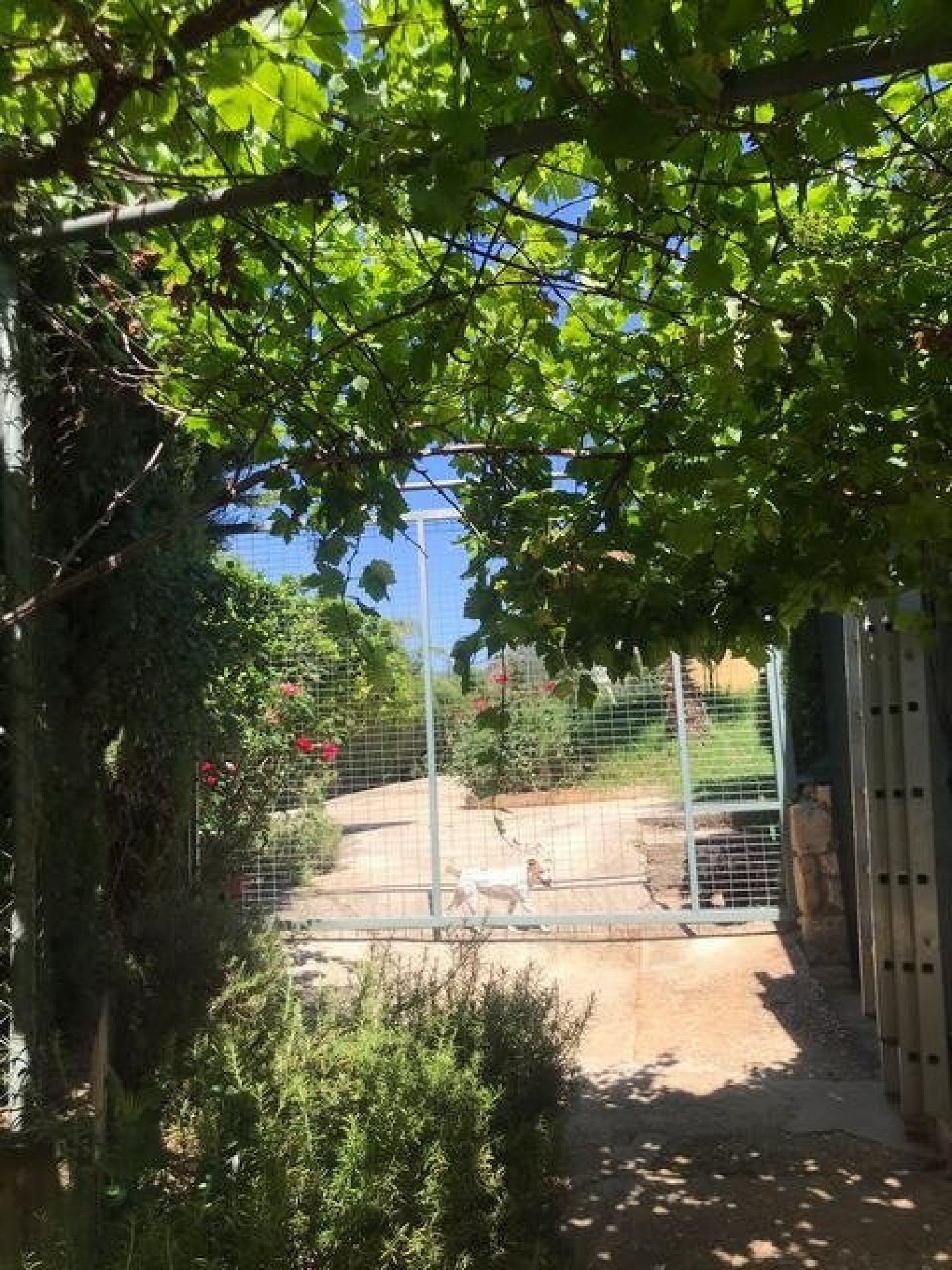  kaufen Haus Villafranca De Córdoba Alto Guadalquivir 7