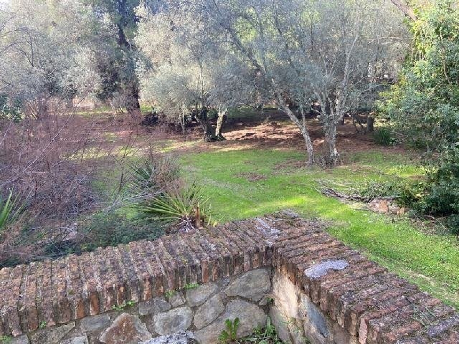  kaufen Haus Villafranca De Córdoba Alto Guadalquivir 4