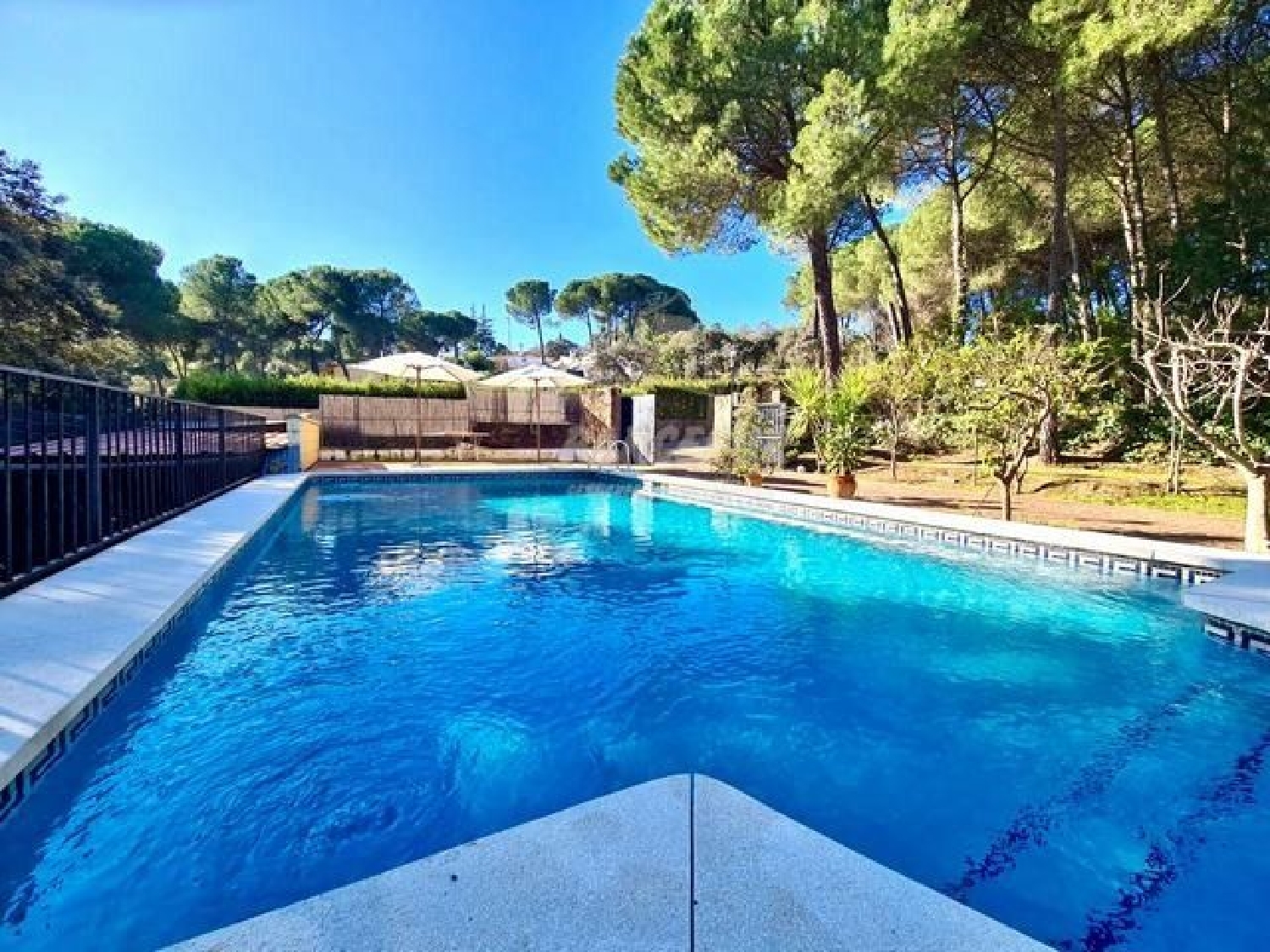  kaufen Haus Villafranca De Córdoba Alto Guadalquivir 1