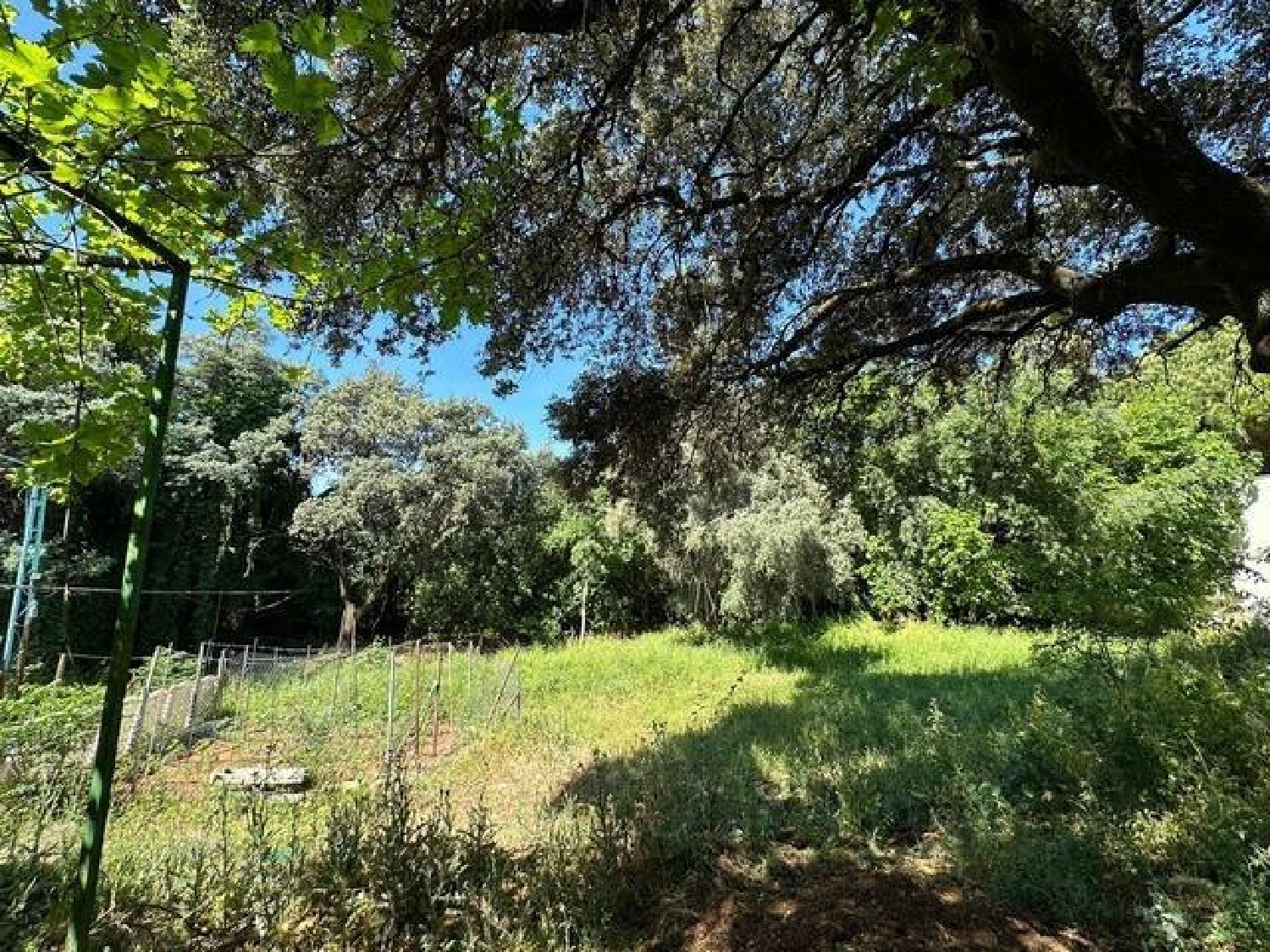  te koop huis Villafranca De Córdoba Alto Guadalquivir 6