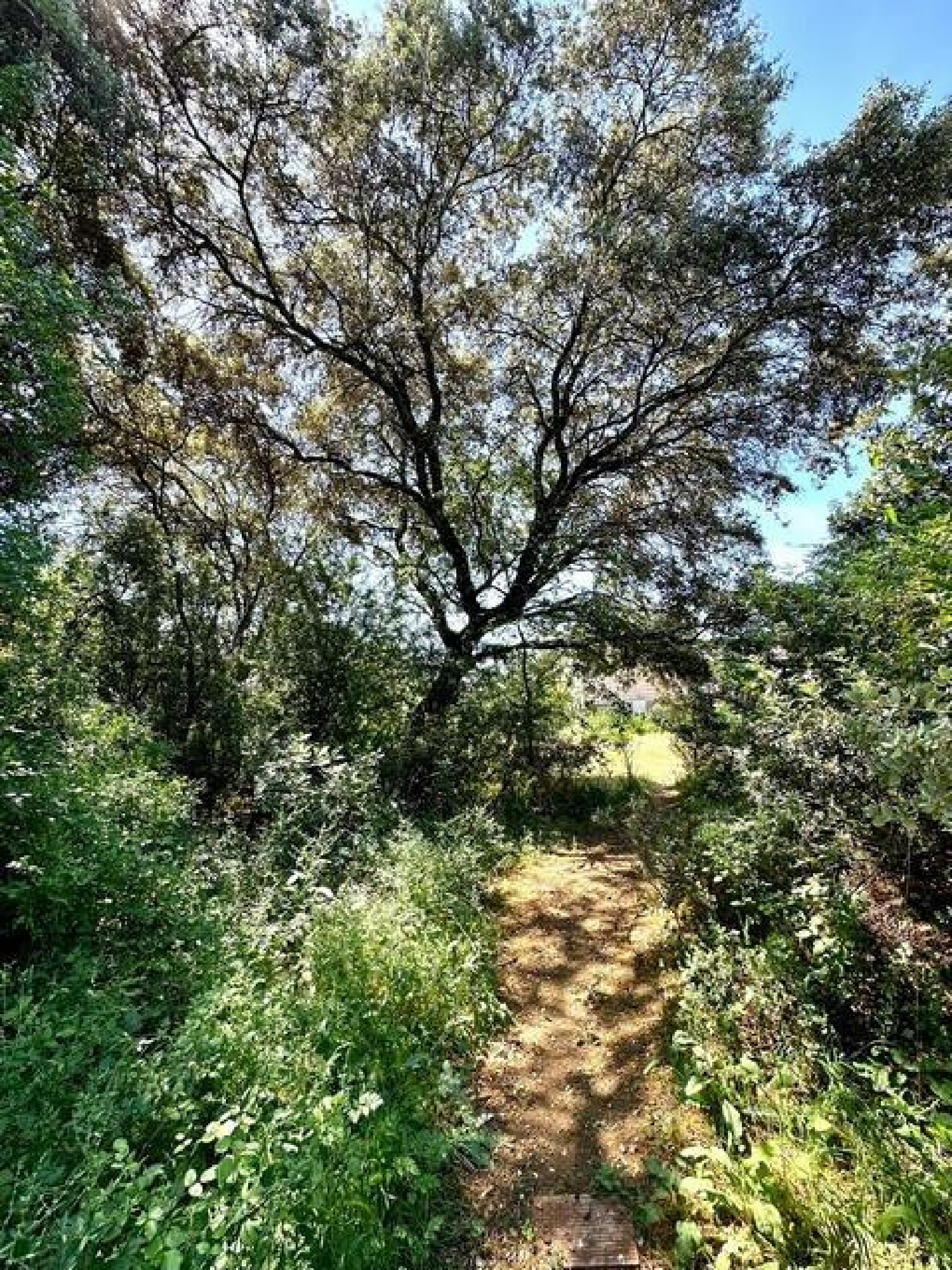  te koop huis Villafranca De Córdoba Alto Guadalquivir 3