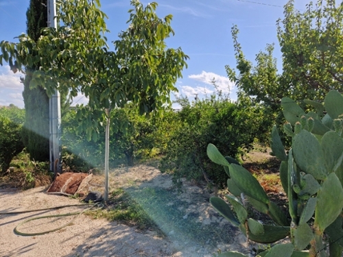 Villanueva Del Río Segura Valle De Ricote huis foto 6334015