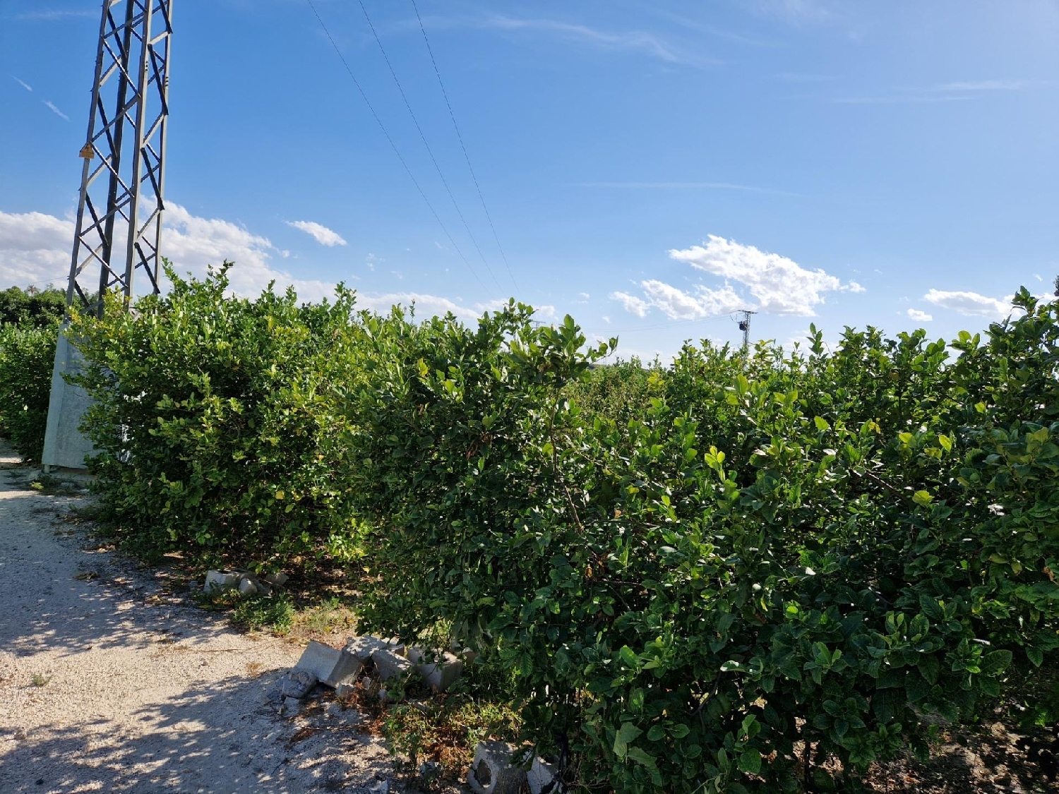  te koop huis Villanueva Del Río Segura Valle De Ricote 5