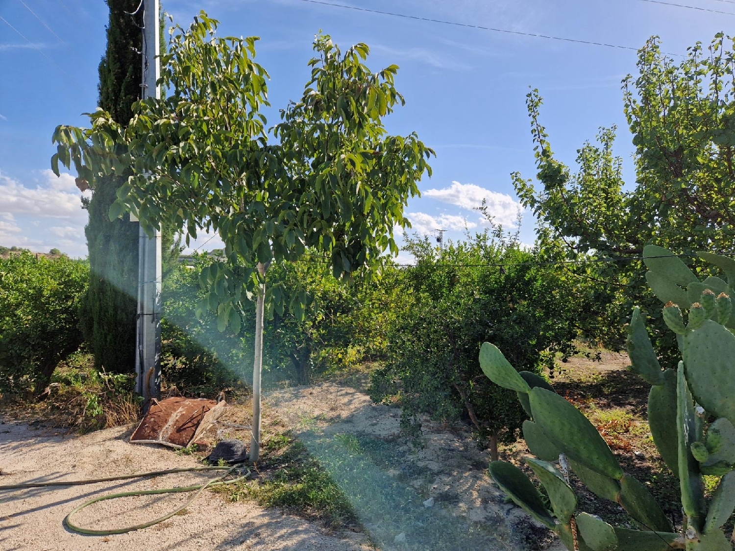  te koop huis Villanueva Del Río Segura Valle De Ricote 2