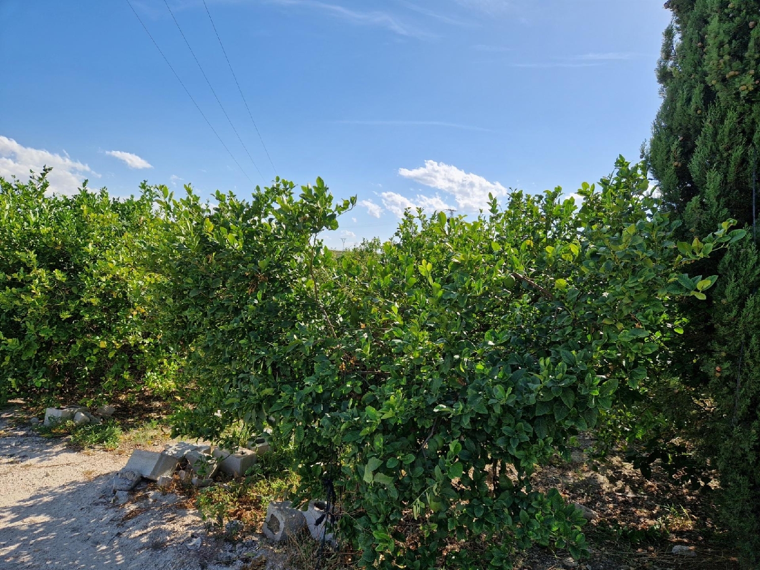  te koop huis Villanueva Del Río Segura Valle De Ricote 4