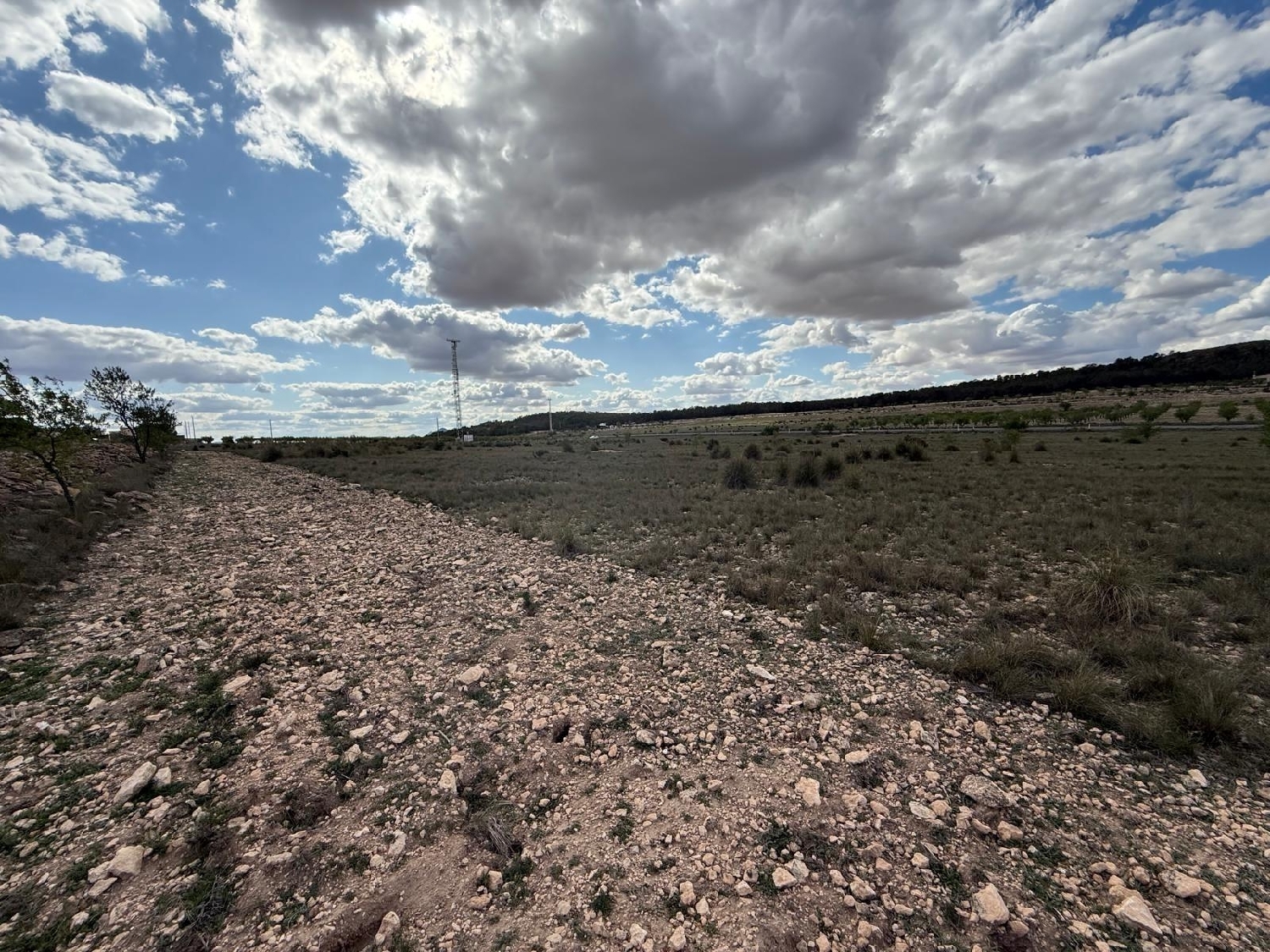  for sale house Yecla Altiplano 8