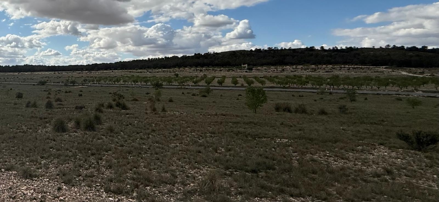  for sale house Yecla Altiplano 6