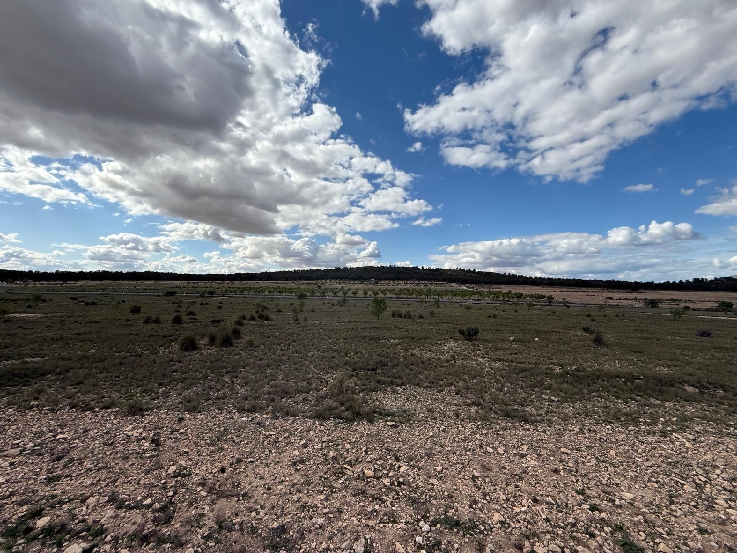  for sale house Yecla Altiplano 5