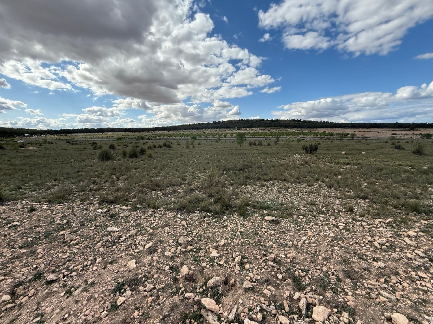  for sale house Yecla Altiplano 7