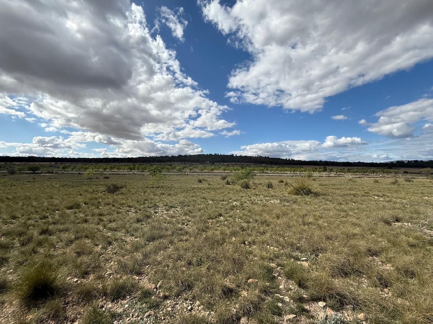  for sale house Yecla Altiplano 3