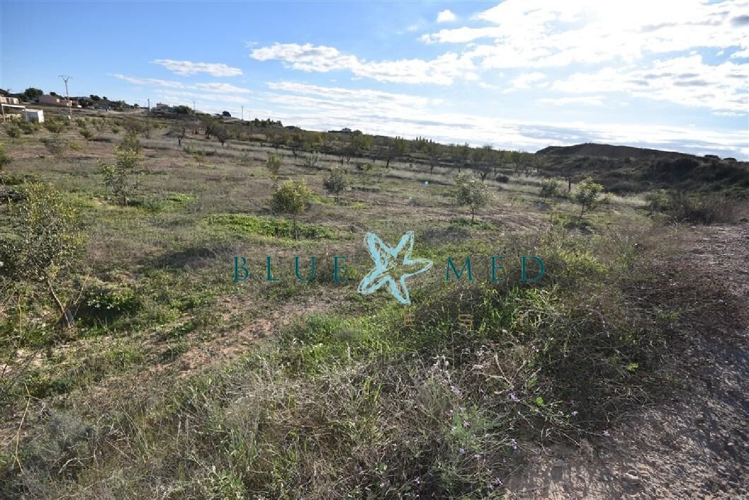  te koop huis Zarzadilla De Totana Alto Guadalentín 2