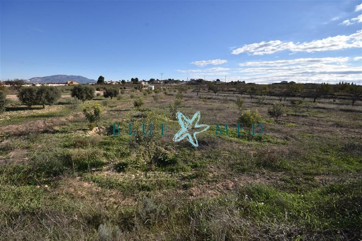  te koop huis Zarzadilla De Totana Alto Guadalentín 3