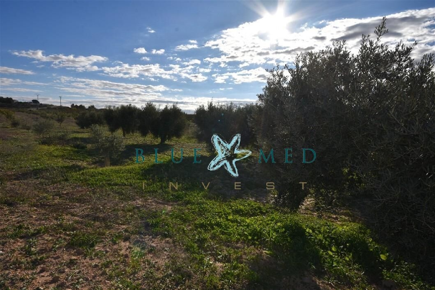  te koop huis Zarzadilla De Totana Alto Guadalentín 7