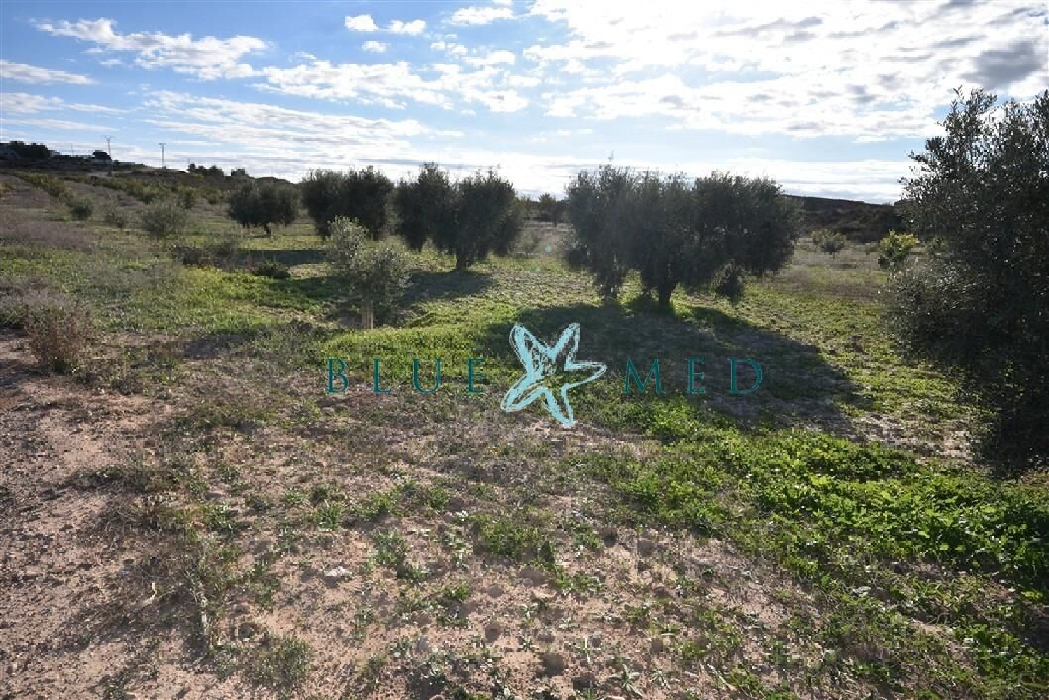  te koop huis Zarzadilla De Totana Alto Guadalentín 5